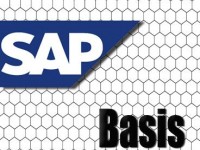 basis10