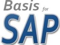 basis2