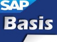 basis3
