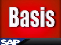 basis7
