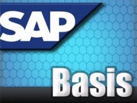sapbasis2